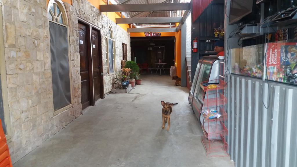 Jipijapa Hospedaje Dannita B&B מראה חיצוני תמונה